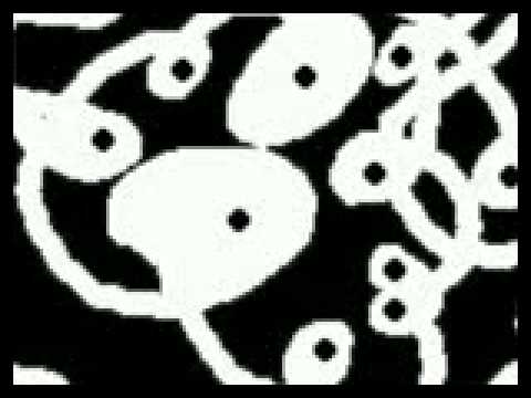 Omni Trio — Omni Trio - Twin Town Karaoke (Original 12" Mix) (Skeleton Keys, 1997)