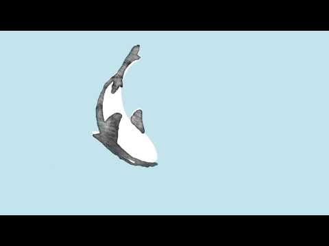 Safia Nolin — Safia Nolin - Aujourd'hui, demain (audio)