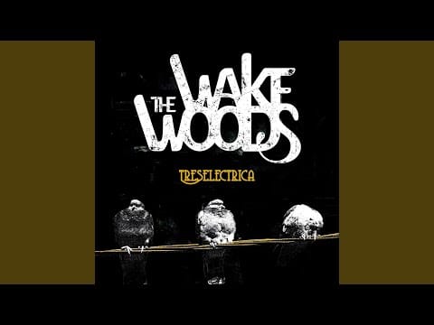 The Wake Woods — All Of My Life