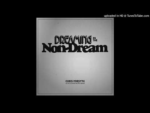 Chris Forsyth & The Solar Motel Band — Chris Forsyth & The Solar Motel Band - Dreaming in the Non-Dream - History & Science Fiction