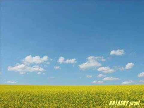 Zero 7 — Zero 7 - In The Waiting Line (Aquanote's Naked Adaption)
