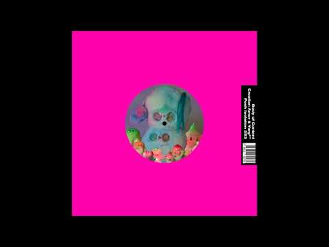 Croatian Amor — Croatian Amor & Varg²™ - Honey (ft. Vallmo) [PI-253]