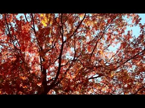 Caspian (3) — Caspian - "CMF" (audio)