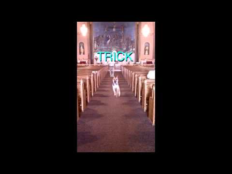 Alex G (2) — alex g - change