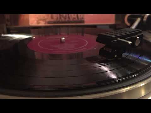 The Voices Of Walter Schumann — The Palms