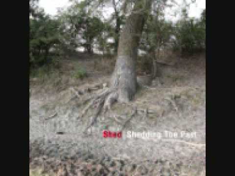 Shed — Shed - That Beats Everything!