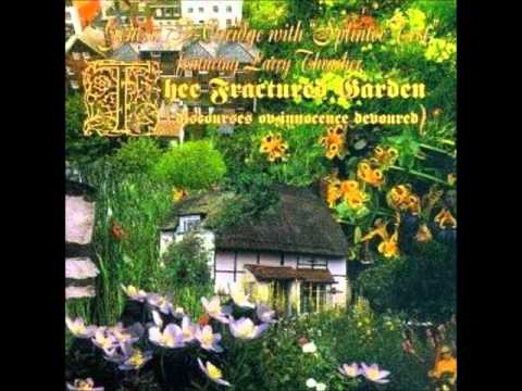 Genesis P-Orridge — Splinter Test - Avatar