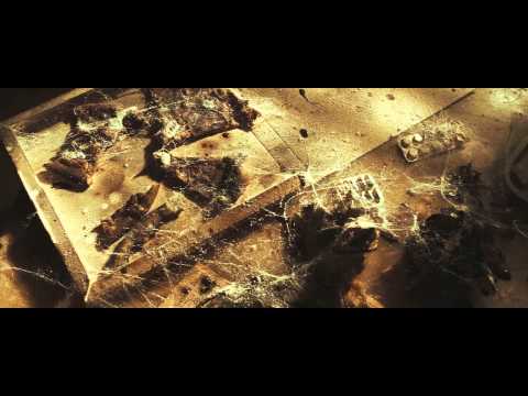 Lance Butters — Lance Butters - Es zieht / Ich zieh