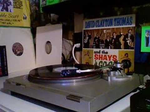 David Clayton-Thomas — David Clayton Thomas & The Shays- Walk That Walk