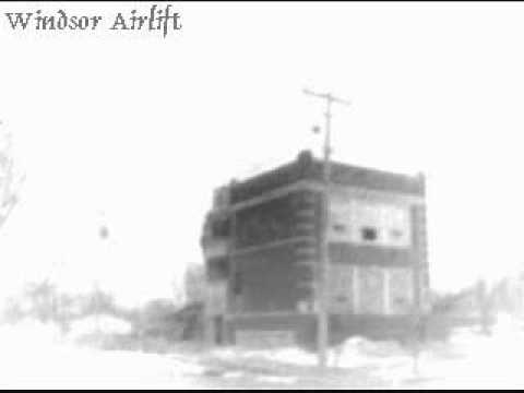 Windsor Airlift — Windsor Airlift - The Number Of Insects Is Tremendous