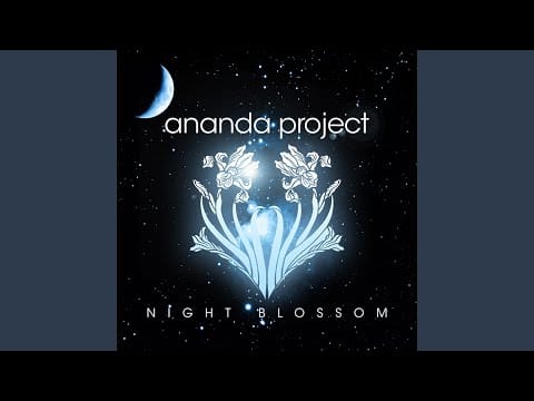 The Ananda Project — Moments Before Dreaming (Idjut Boys Remix 1)