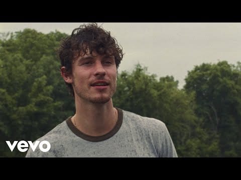 Shawn Mendes — Why Why Why