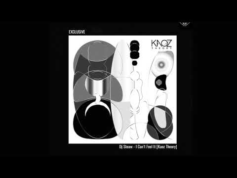 DJ Steaw — Dj Steaw - I Can't Feel It [Kaoz Theory]