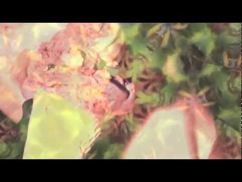 Fannypack — Fannypack - Hey Mami (Official Lyric Video)