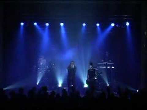 Diary Of Dreams — Diary Of Dreams - Traumtänzer