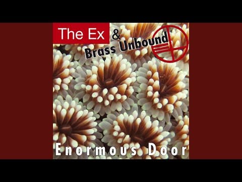 The Ex — Bicycle Illusion