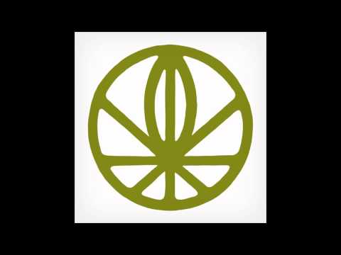 Gayngs — Gayngs - The Gaudy Side of Town