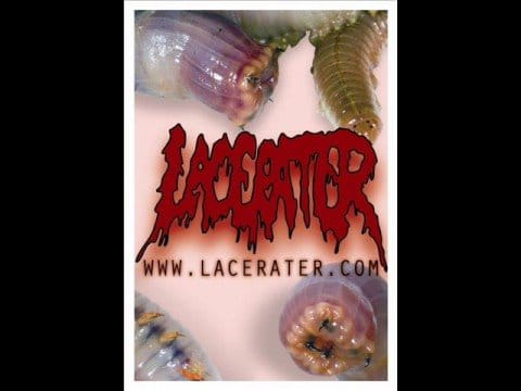Lacerater — Lacerater - O.s.s.a.
