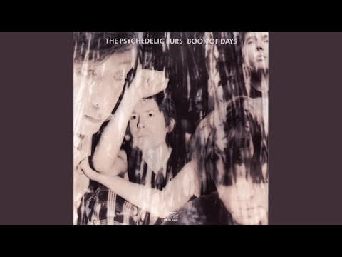 The Psychedelic Furs — House