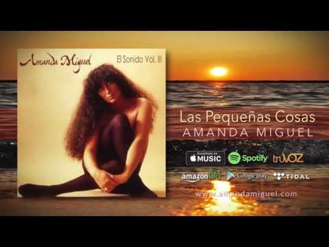 Amanda Miguel — Amanda Miguel - Las Pequeñas Cosas (Audio Oficial)