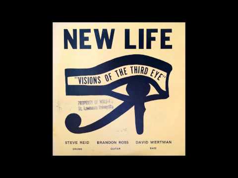 New Life Trio — The New Life Trio: Visions of The Third Eye