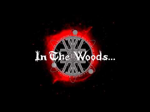 In The Woods... — IN THE WOODS... STRANGE IN STEREO (1999 Full Album) official upload-