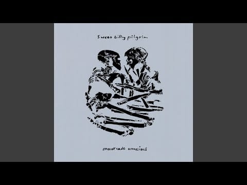 Sweet Billy Pilgrim — We Just Did What Happened and Nobody Came