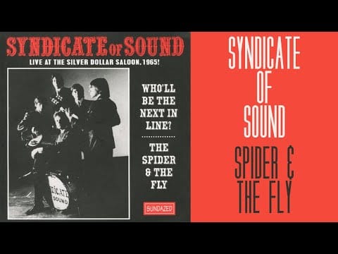 Syndicate Of Sound — Syndicate Of Sound - The Spider & The Fly
