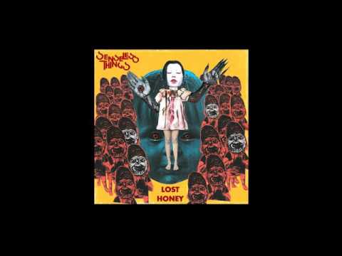 Senseless Things — Senseless Things - Lost Honey
