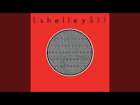 Pete Shelley — Please Forgive Me... But I Cannot Endure It Any Longer