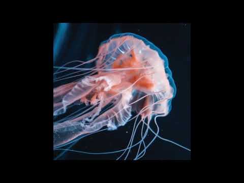 Nthng — nthng - Shine [TAR006]