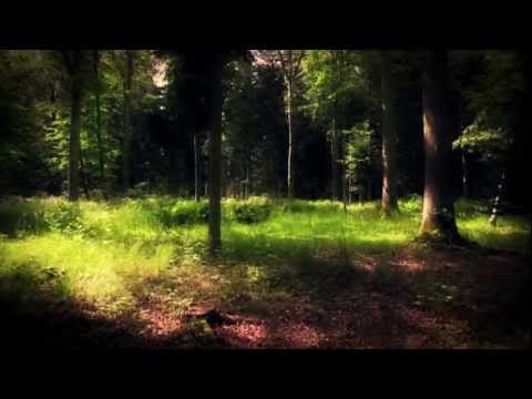 Ulrich Schnauss — Ulrich Schnauss-Wherever You Are