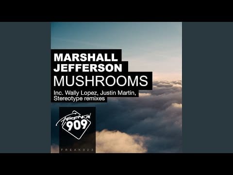 Marshall Jefferson — Mushrooms (Stereotype Remix)