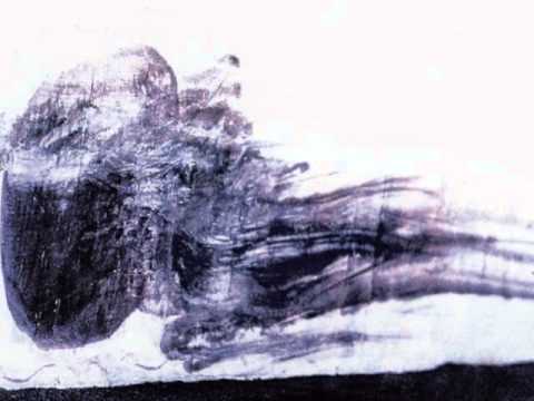 Thomas Fehlmann — Thomas Fehlmann - Dusted