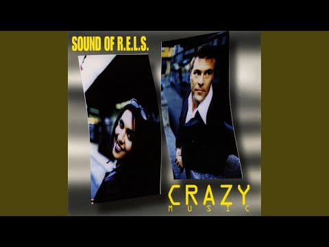 Sound Of R.E.L.S. — Feel the Groove (High on the Disco Fever)