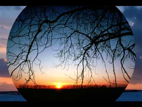 Alex Paterson — INDUSTRIAL SUICIDE TRIBE  AQUA SUFI