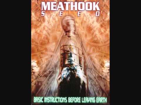 Meathook Seed — Meathook Seed- Beautiful