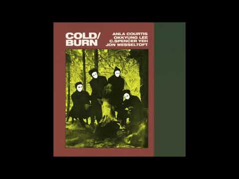 Okkyung Lee — Anla Courtis, Okkyung Lee, C. Spencer Yeh, Jon Wesseltoft ‎– Cold / Burn [2009] [full album]