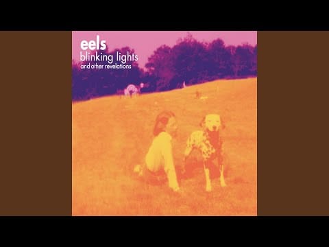 Eels — Railroad Man