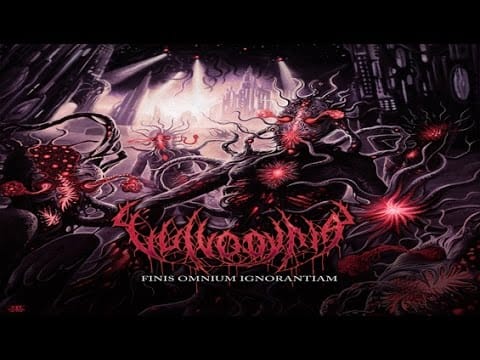 Vulvodynia — VULVODYNIA - New World Order