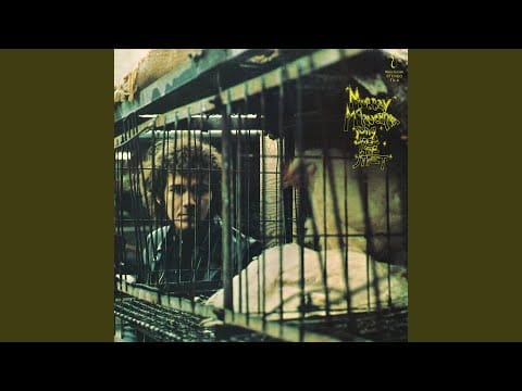 Murray McLauchlan — I Just Got Older