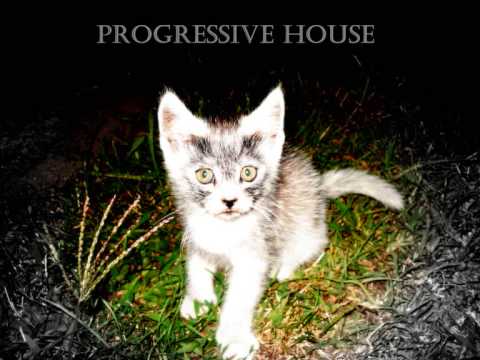 Wonderland Avenue — Wonderland Avenue - Get Back (Phunk Investigation Mix)