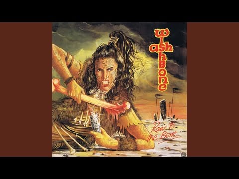 Wishbone Ash — Perfect Timing