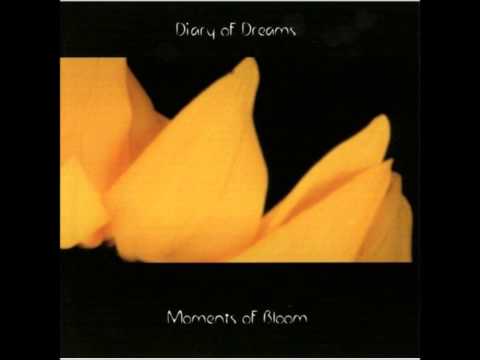 Diary Of Dreams — Diary Of Dreams - Reality Of Mine