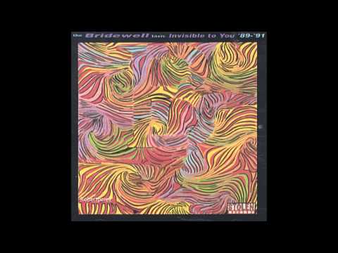 Bridewell Taxis — The Bridewell Taxis - Whole Damn Nation  (Invisible To You '89 -'91)