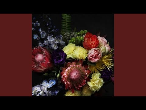Cold Cave — Happy Birthday Dark Star