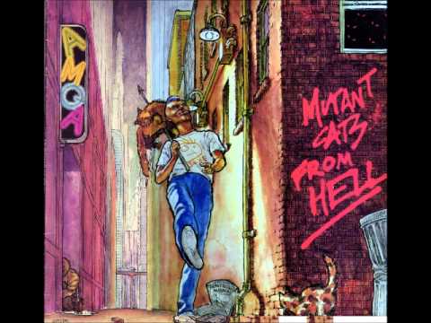AMQA — A.M.Q.A. - 11 - Mutant Cats From Hell.