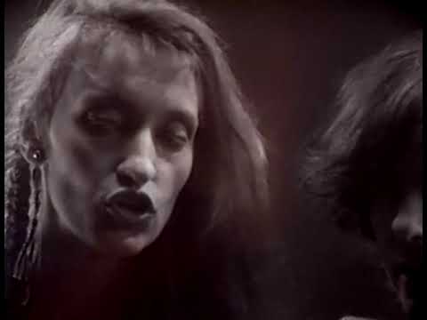 Timbuk 3 — Timbuk 3 - All I Want For Christmas (1987)