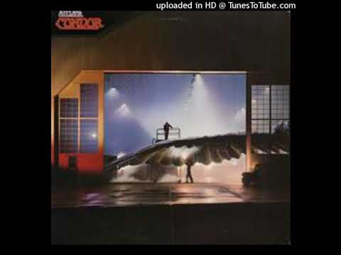 Silver Condor — Silver condor - angel eyes