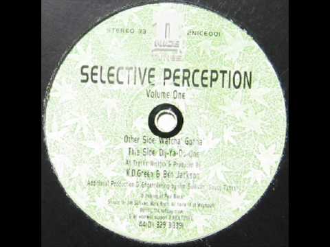 Joy For Life — Selective Perception 'Watcha Gonna'